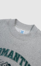 Fleece Snow Mountain Letter Chameleon Printed Sweater