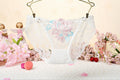 Sexy Lace Low Waist Cute Embroidered Ladies Panties