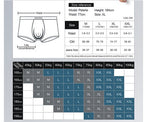 Transparent Mesh Sexy Boxer Men