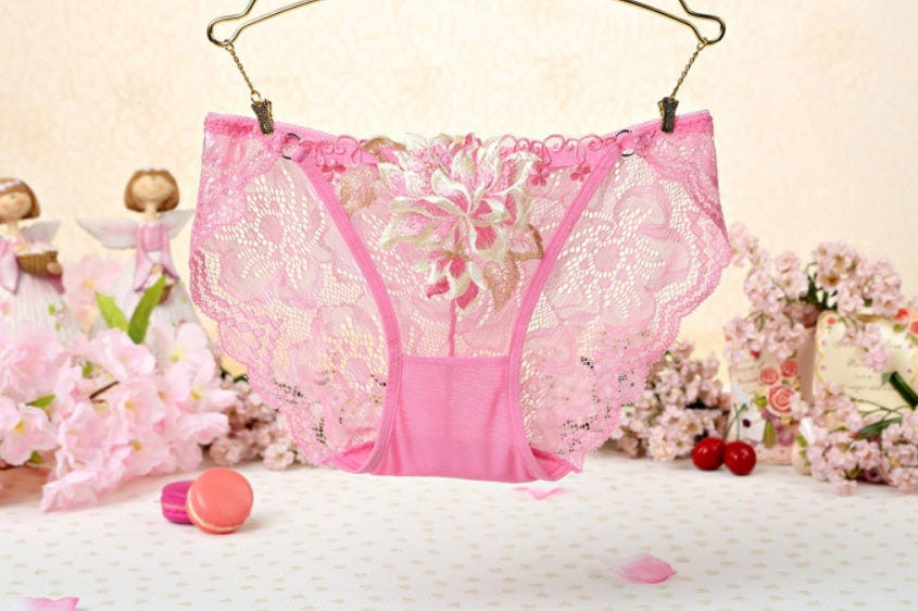Sexy Lace Low Waist Cute Embroidered Ladies Panties