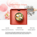 Panda Hot Pot Car Fragrance Outlet Perfume Decoration