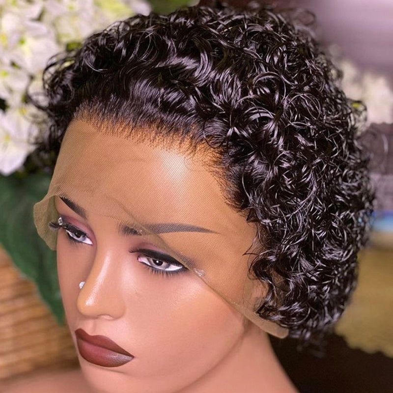 Daily Wear Black Wig Lace Hair Cover