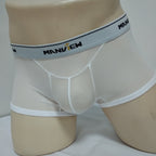 Transparent Mesh Sexy Boxer Men